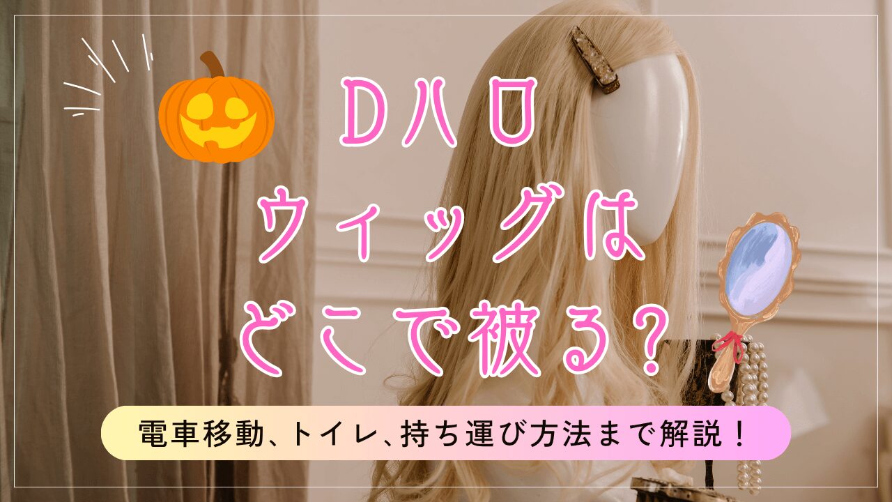 Dハロウィッグはどこで被る?電車移動､トイレ､持ち運び方法まで解説！