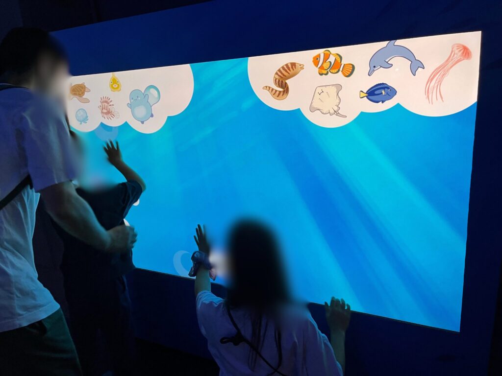 新江ノ島水族館のタッチゲーム