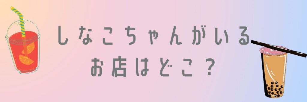 しなこちゃんがいるお店はどこ？